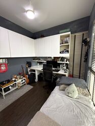 The Miltonia Residences (D27), Condominium #540251841